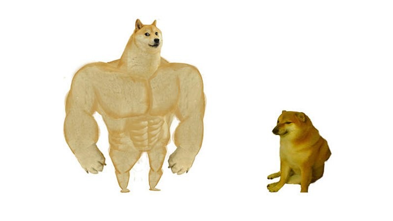 Create meme: a dog with muscles meme, the beefy dog meme, shiba inu meme jock