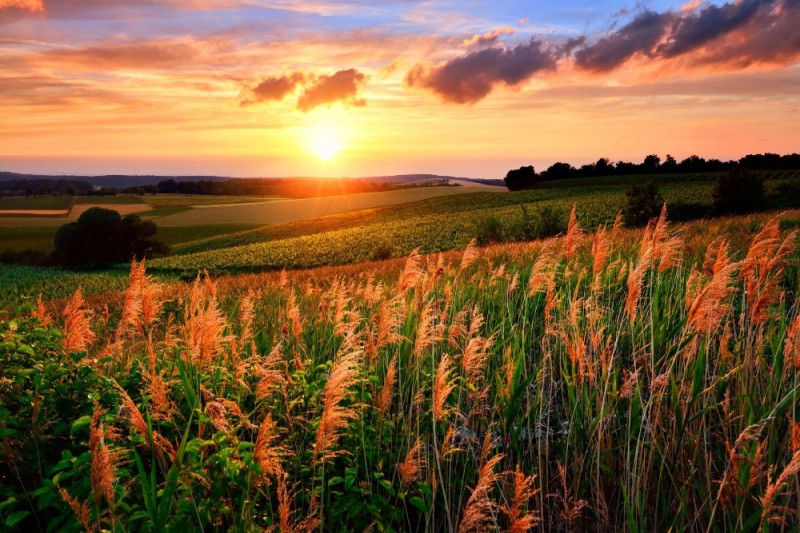Create meme: dawn in a field, sunset field, beautiful sunset in the field
