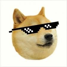 Create meme: doge memes, thug life , dogs in pixel glasses