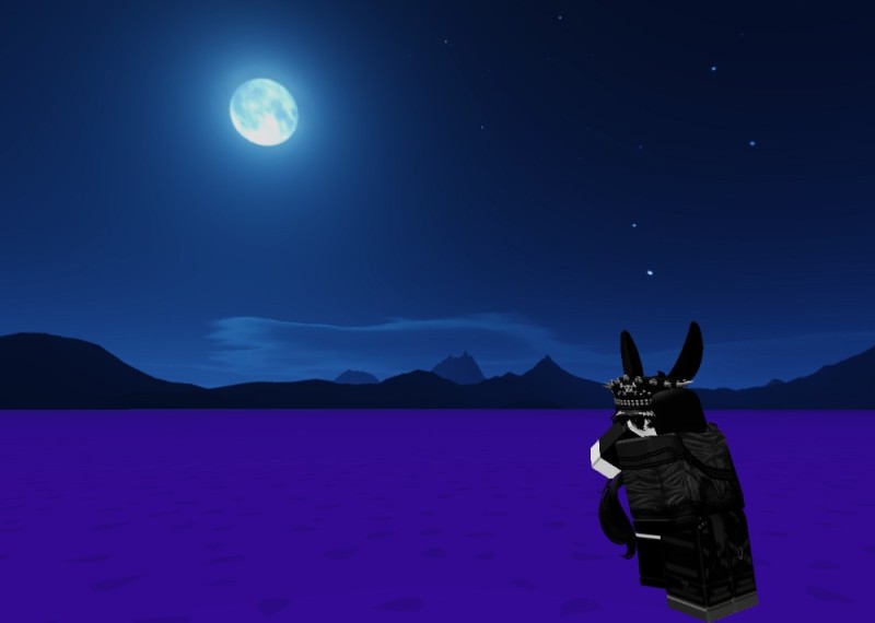 Создать мем: на фоне луны, лунный зайчик, c moon roblox