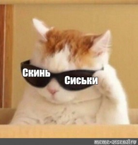 Создать мем: котик, кот, кот с очками мем