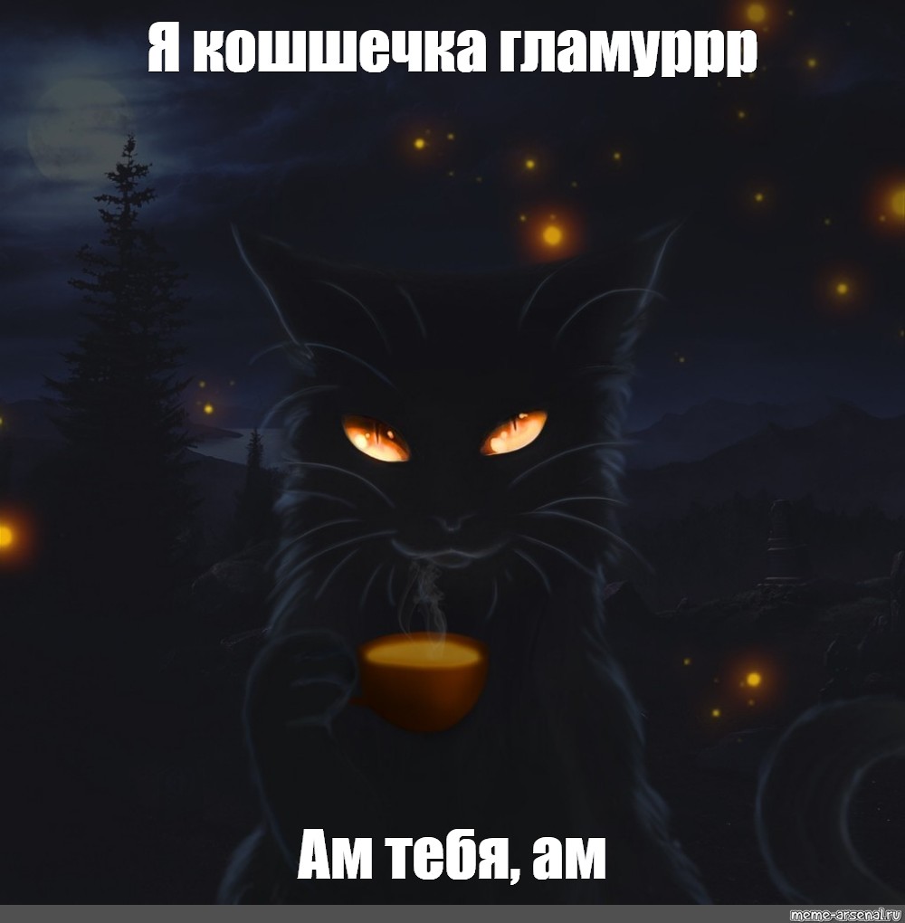 Black cat meme. Ночной кот. Черный кот ночью. Черная кошка ночью. Чёрный кот арт.