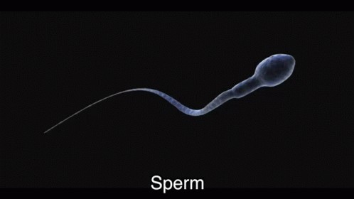Create meme: sperm 