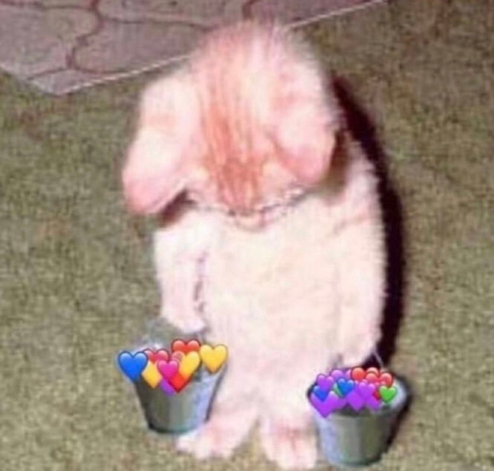 Create meme: a cat with buckets of hearts, cat , cat 