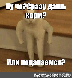 Создать мем: null