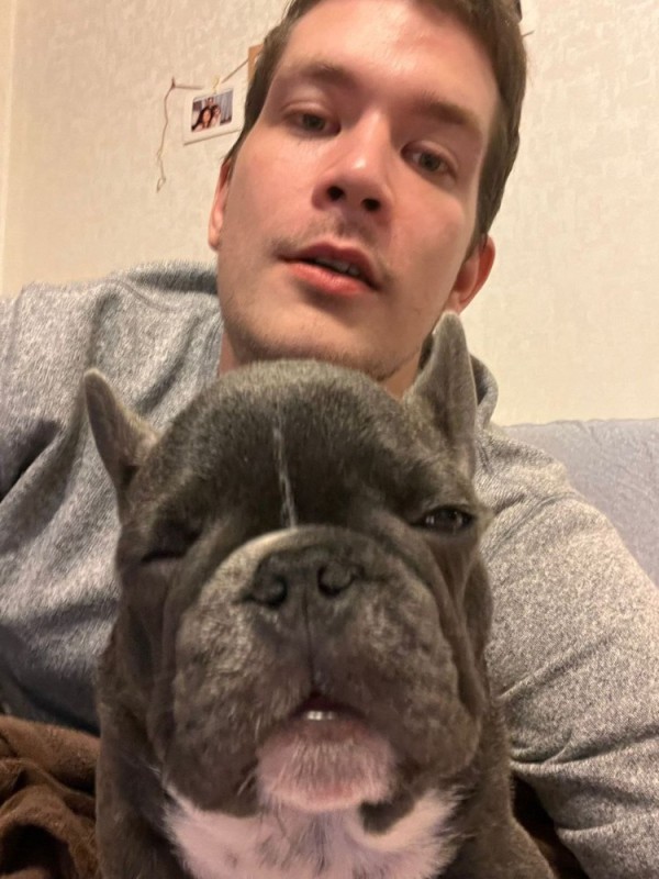 Создать мем: french bulldog, голубой бульдог французский, французский бульдог собака