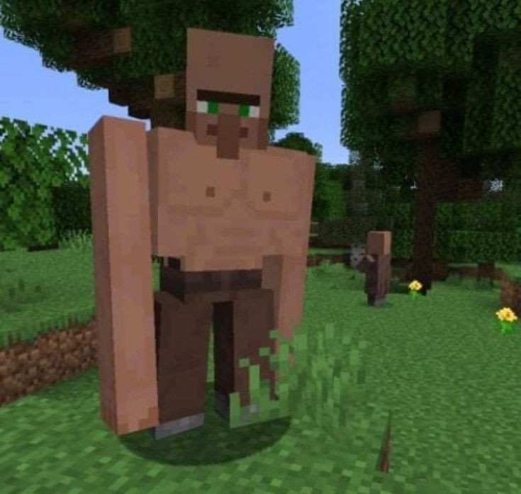 Create meme: golem from minecraft, golem and minecraft resident, minecraft golem villager