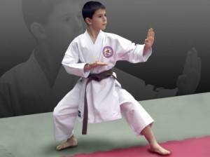 Create meme: Karateka