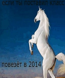 Создать мем: самая красивая лошадь, бегущая лошадь, белая лошадь