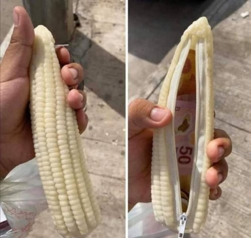 Create meme: white corn, kukuruz, types of corn