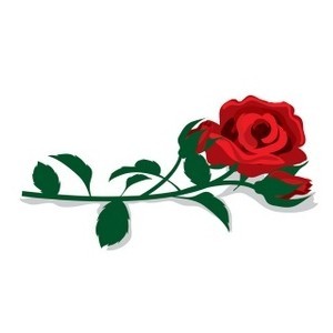 Create meme: roses, roses, horizontal ornament flowers