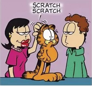 Create meme: garfield, Garfield