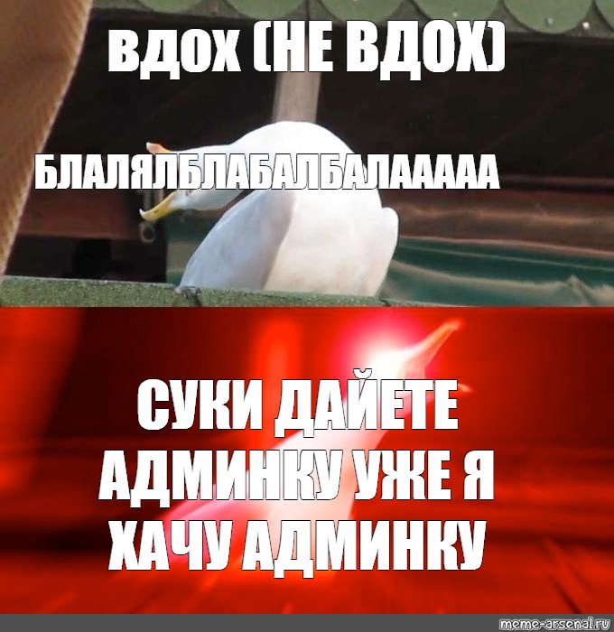 Глубокий вдох слушать. Глубокий вдох Мем. Глубокий вздох. Чайка Мем. Мем вдох извращенца.