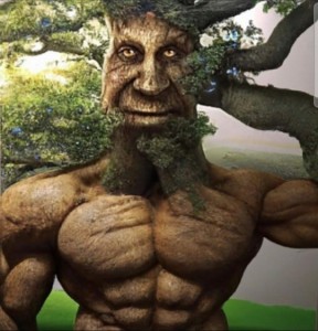 Create meme: guy, tree, people tree