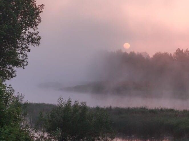 Create meme: mist over the lake, nature fog, misty dawn