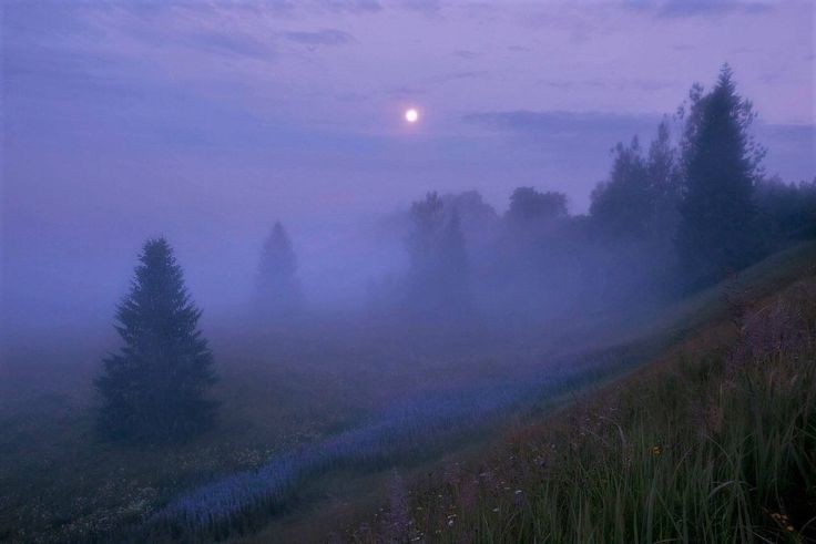 Create meme: tales of the misty moon after the rain, fog over the river, fog nature