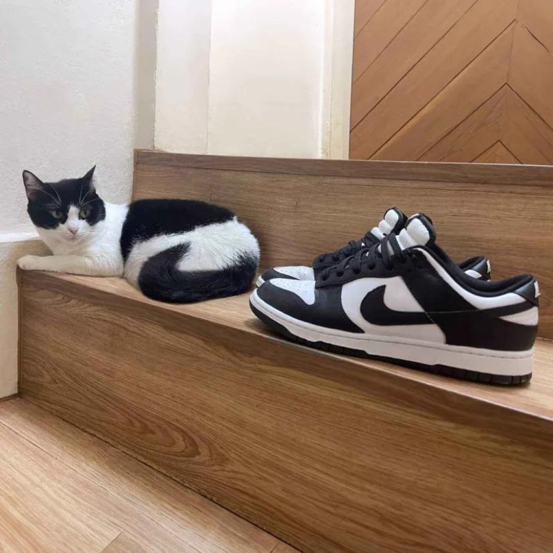 Создать мем: nike dunk low retro white black, кроссовки nike dunk low black white, кроссовки nike dunk low