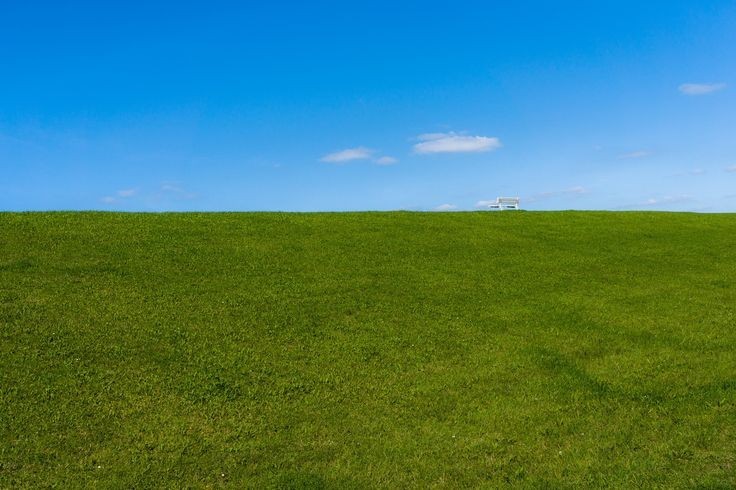 Create meme: field meadow, grass sky, field field