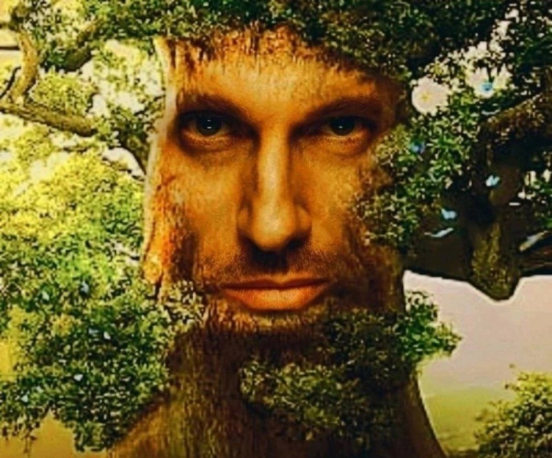 Create meme: a mystical tree with a face, living tree, the tree is large