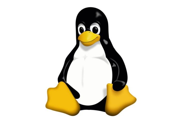 Create meme: cartoon penguin, gnu linux, linux penguin