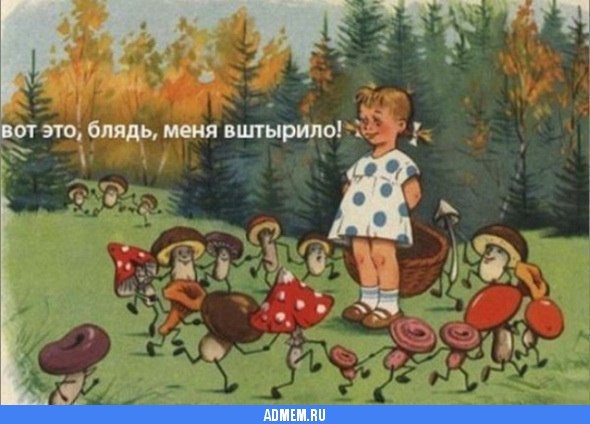 Create meme: the mushrooms are stuck, that's what hit me, by mushrooms