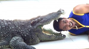 Create meme: alterraun, crocodilite in the mouth, in the jaws of a crocodile