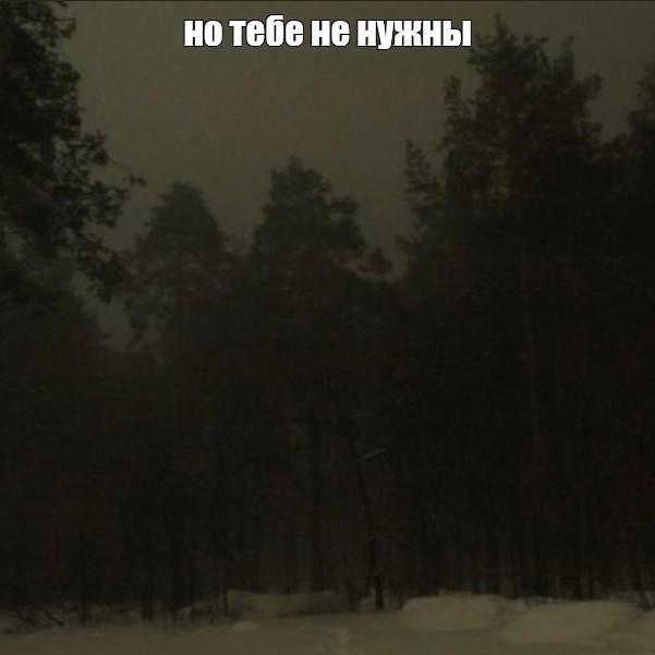 Create meme: night winter forest, night forest , winter forest night