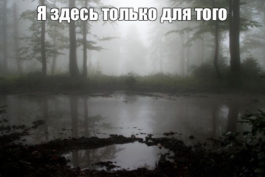 Create meme: swamp swamp aesthetics, the swamp in the fog, the landscape is gloomy