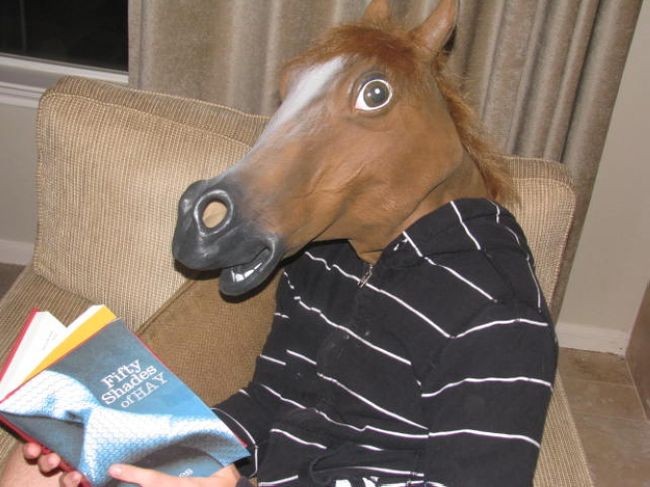 Create meme: a stoned horse, horse head, mask horse