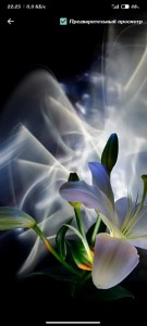 Create meme: light-graphic lilies, beautiful flowers, light-graphic flowers