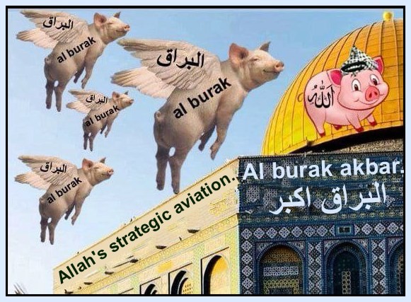 Create meme: girl , pig , pig haram