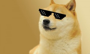 Create meme: doge meme, doge 1366x768, dogs meme breed