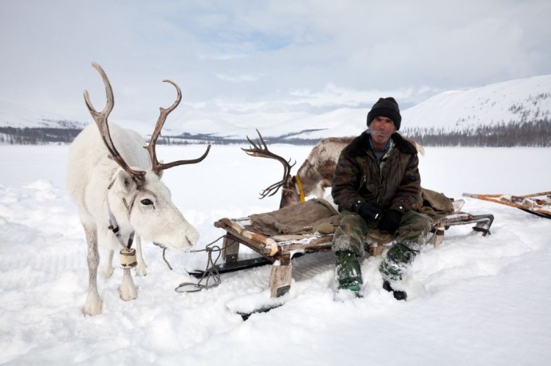 Create meme: Evenkia taiga, Taimyr reindeer husbandry, reindeer husbandry in Yakutia