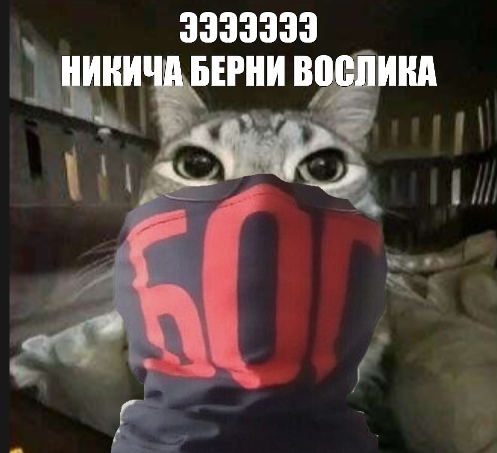 Создать мем: null