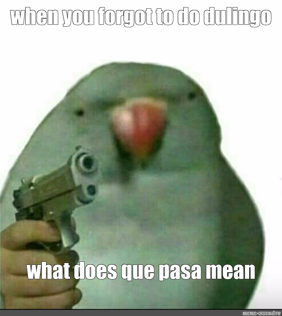 meme-when-you-forgot-to-do-dulingo-what-does-que-pasa-mean-all