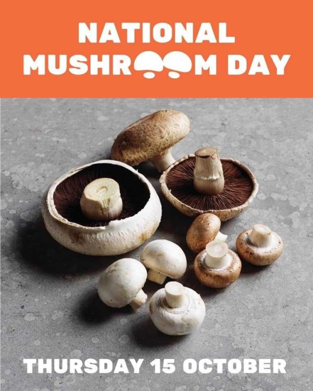 Create meme: Mushroom Day, mushroom champignon, Portobello mushrooms