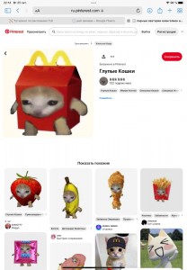 Create meme: cat in the package, roblox, funny little creatures