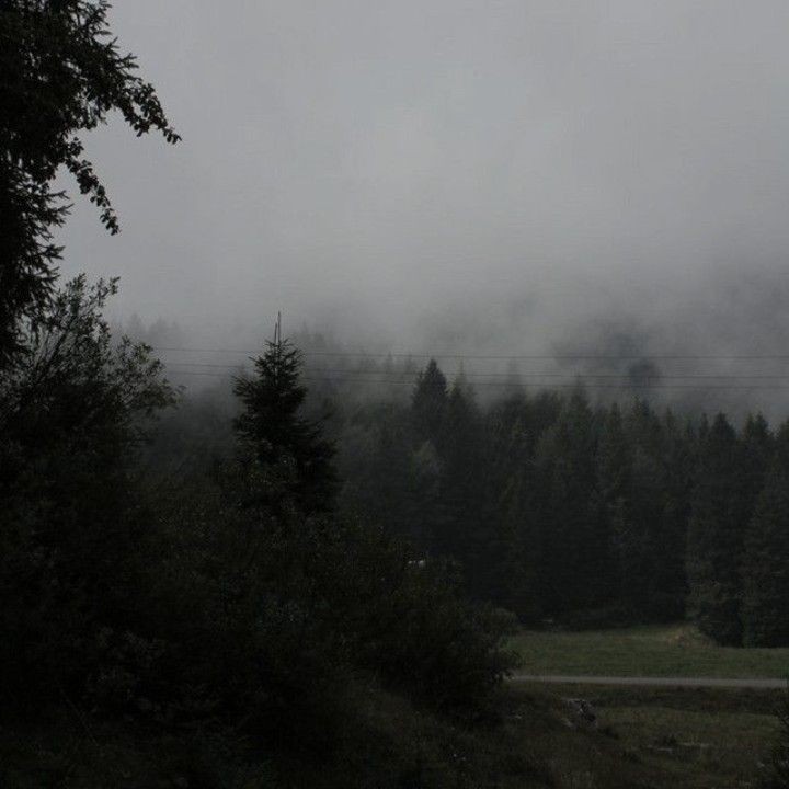 Create meme: nature , forest , mist mountains