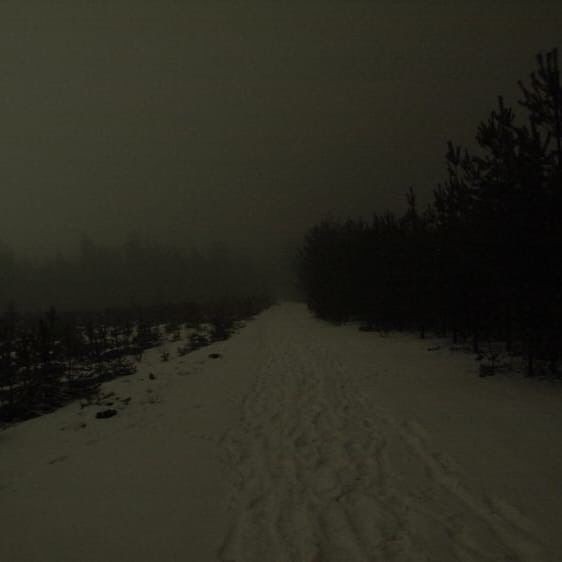 Create meme: nature snow, dark forest, the landscape is gloomy