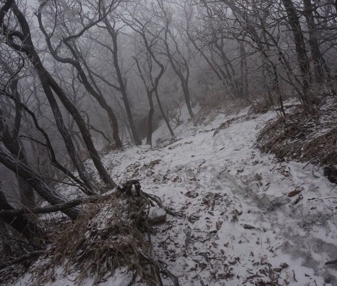 Create meme: forest , mountains of crimea, winter 