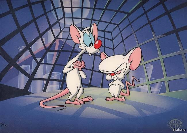 Create meme: brain, the mouse who wanted to take over the world, pinky and brain meme