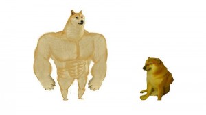 Create meme: doge Jock, doge meme Jock