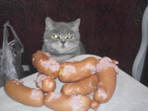 Create meme: sausage, Cat, the cat with sausages