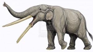 Create meme: the Miocene, indricotherium, elephant