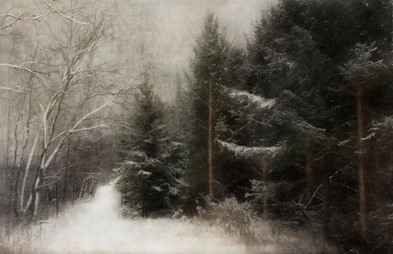 Создать мем: картина лес, зимний еловый лес, в зимнем лесу