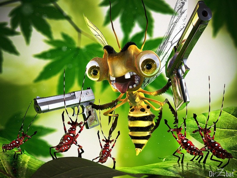 Create meme: The mosquito is an insect, the evil bee, The bee on the screensaver