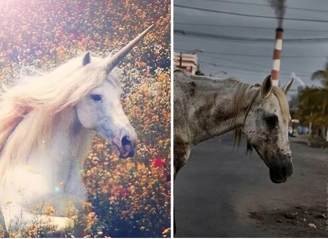 Create meme: one unicorn's, the unicorn is real, real unicorns