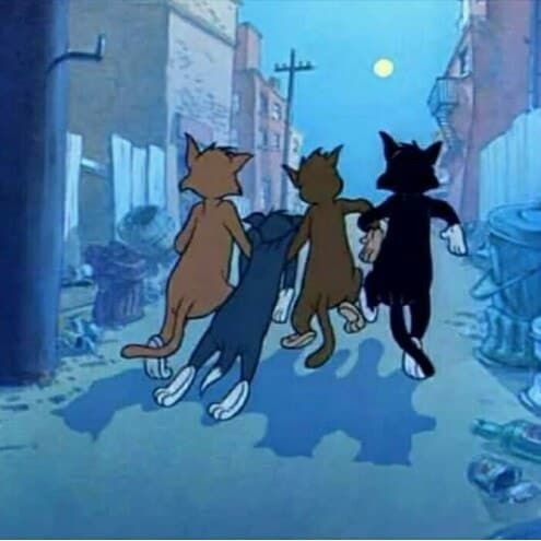 Create meme: The Black Cat from Tom and Jerry, Tom and Jerry are three cats, Three Tom and Jerry cats