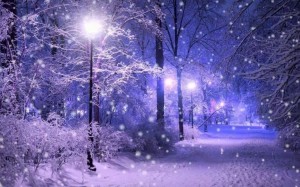 Create meme: snow, winter night, winter snow