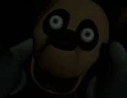 Create meme: five nights at treasure island secret, five nights at treasure island - warning very scary, five nights at treasure island all jumpscares